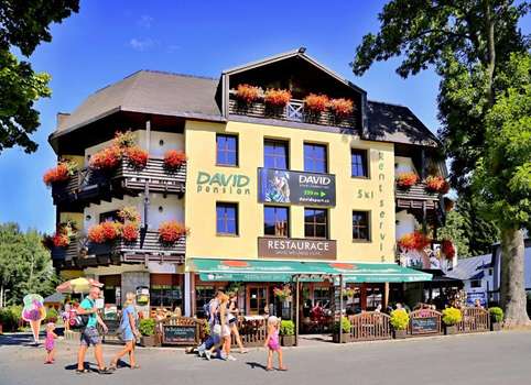 www.davidhotel.cz