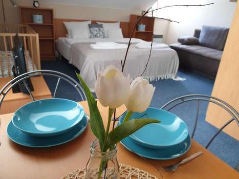 www.hotel-modrasek.cz