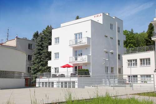 www.hotel-viola.cz