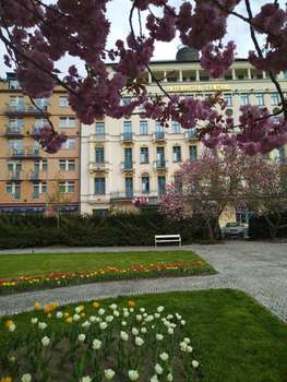 www.interhotel-central.cz