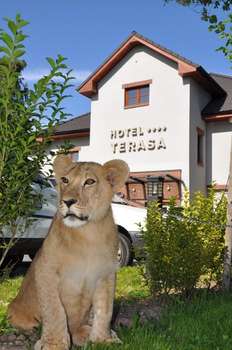 www.hotelterasa.eu