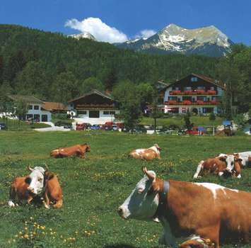 www.barmsee.de