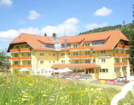 www.burg-feldberg.de