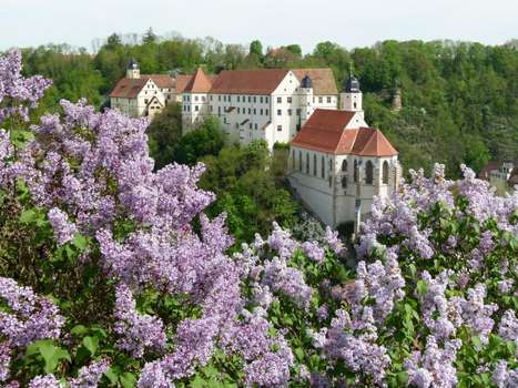 www.schloss-haigerloch.de