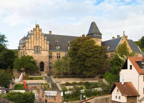 www.altesamtsgerichtoppenheim.de