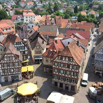 www.schwanen-mosbach.de