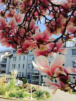 www.astoria-city-resort.de