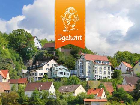 www.igelwirt.de