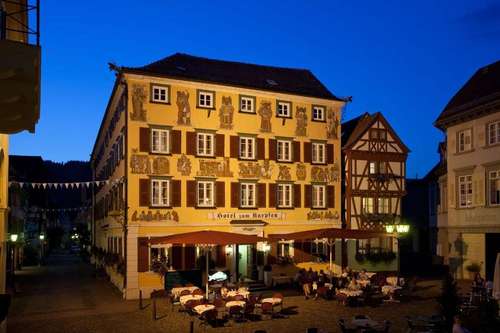 www.hotel-karpfen.com