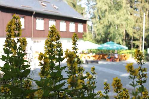 www.buerger-berggasthaus.de
