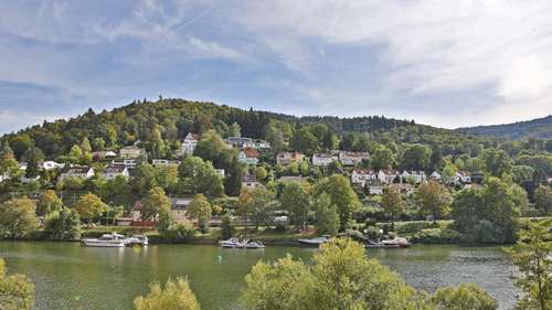 www.hotel-neckarlux.de