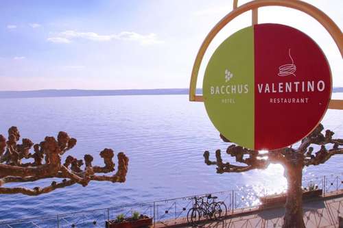 www.bacchus-meersburg.de
