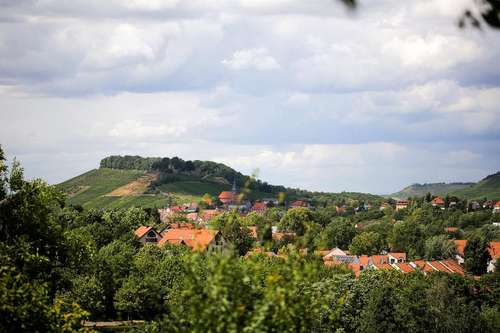www.rappenhof.de