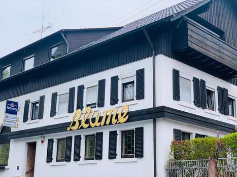 www.blume-balg.de