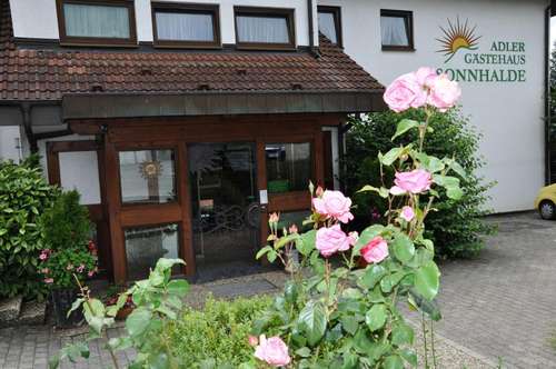 www.landgasthaus-adler.de