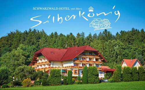 www.silberkoenig.de