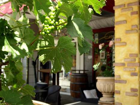 www.la-terrazza.com