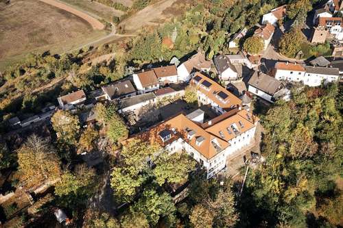 www.burghof-stauf.de