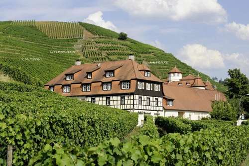 www.schloss-neuweier.de