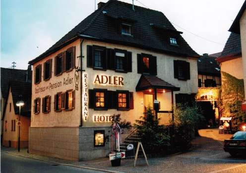 www.hotel-adler-bad-rappenau.de