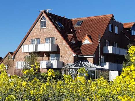 www.friesenhus.de