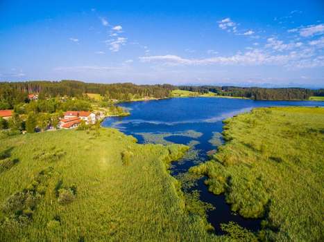 www.allgaeu-hotel-elbsee.com