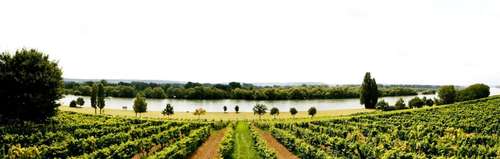 www.rheinblick-rheingau.de
