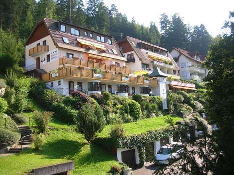 www.hotelambadwald.de