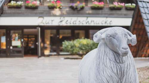 www.zur-heidschnucke.de