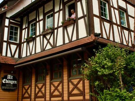 www.hotel-alt-ebingen.de