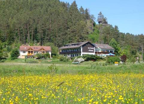 www.pension-krems.de