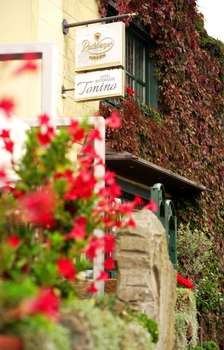 www.hotelristorantetonino.de