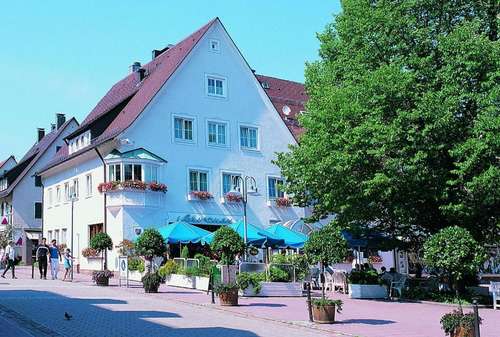 www.schwanenfreudenstadt.de