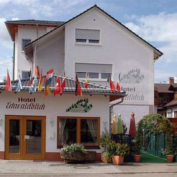 www.aparthotel-eckwaldblick.de