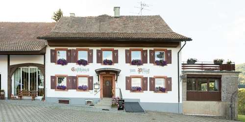 www.gasthauspflug.de