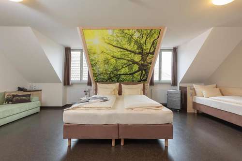 www.radlhotel-franken.de
