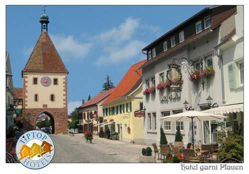 www.endingen-pfauen.de