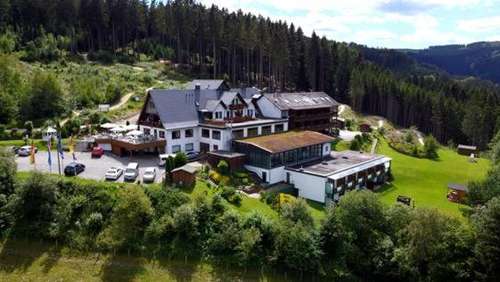www.wald-hotel-willingen.de