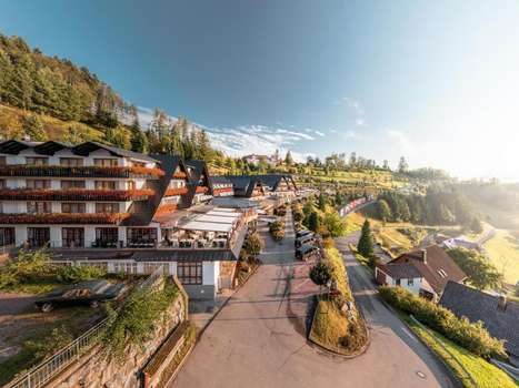 www.dollenberg.de