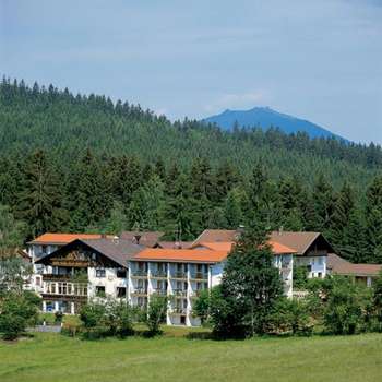 www.hotel-riesberghof.de
