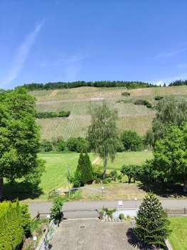 www.hotel-weinhaus-schneider.de