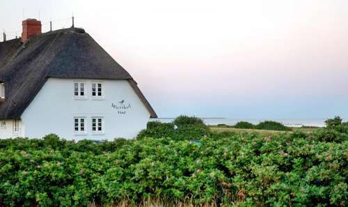 www.watthof.de