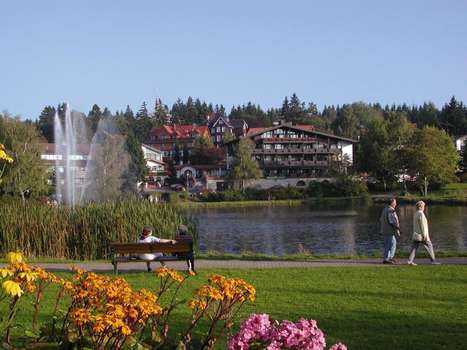 www.kranichsee.de