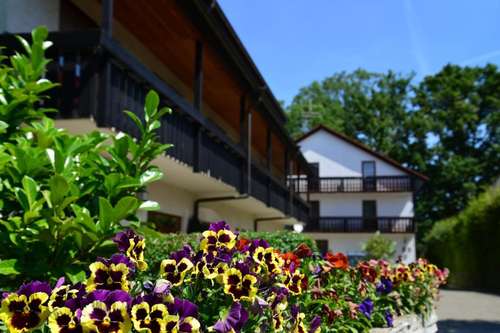 www.hotelbuchwald.de