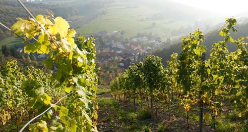 www.heeswein.de