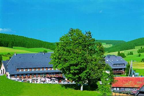 www.loewen-titisee.de