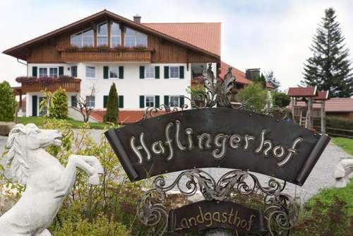 www.haflingerhof.com
