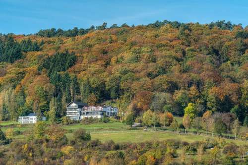 www.waldhotel.com