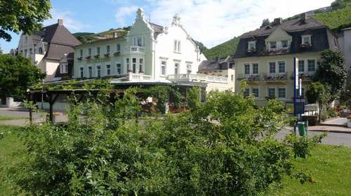 www.karl-schoen.de