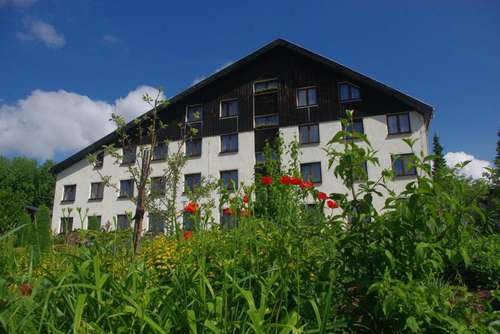 www.forstmeister.de